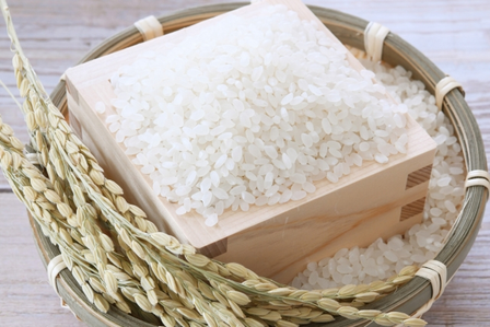 お米券はお米以外にも使える？使える店・お釣り・期限を徹底解説